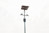 Market Lighting Solutions