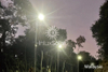 Solar Lights for Rural Highway in Malaysia